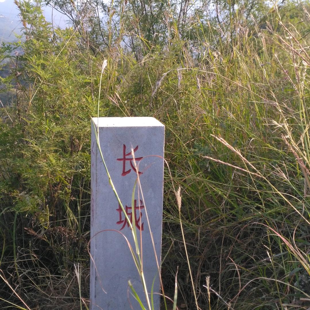 贵在坚持