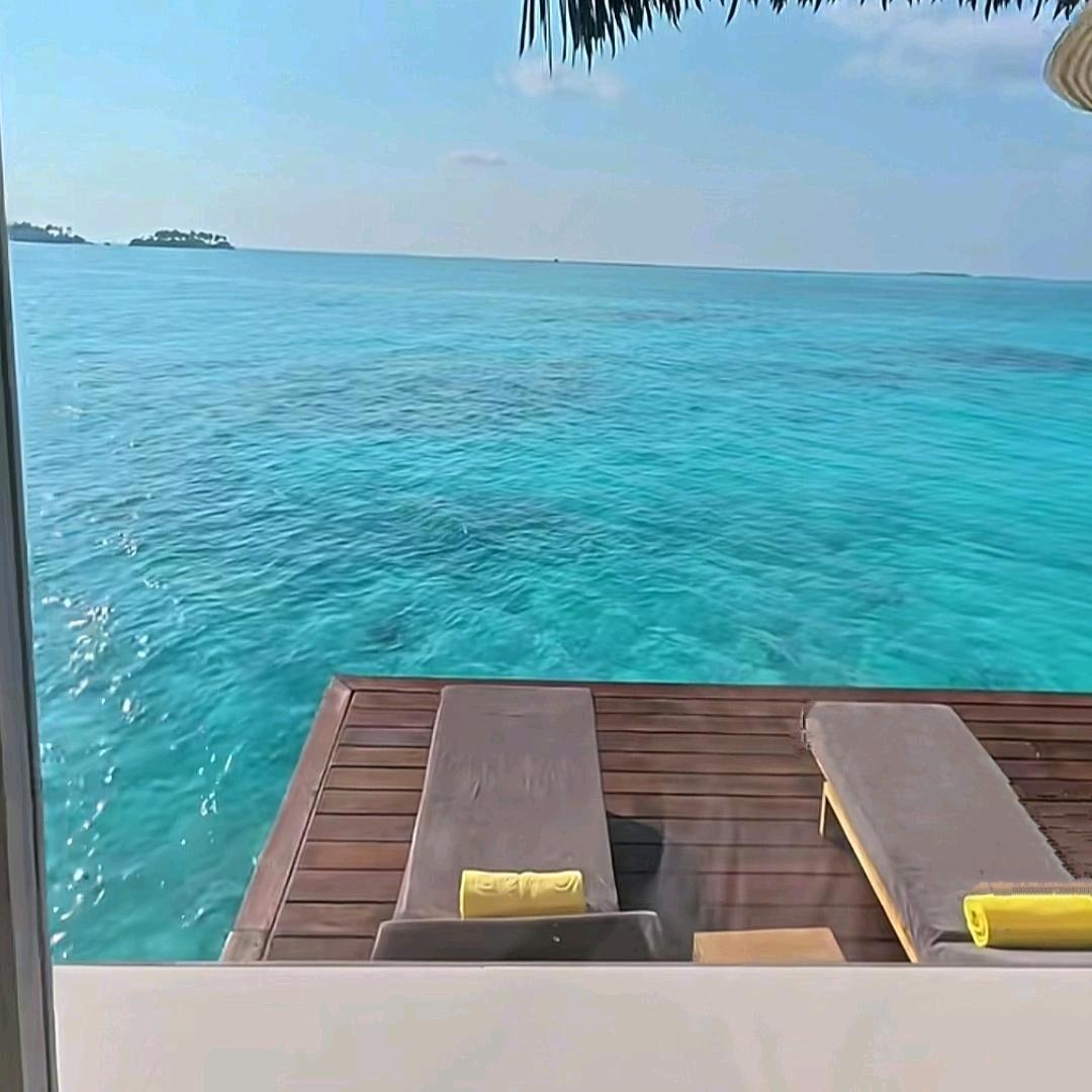 🌻妗菲皙彼 ☜