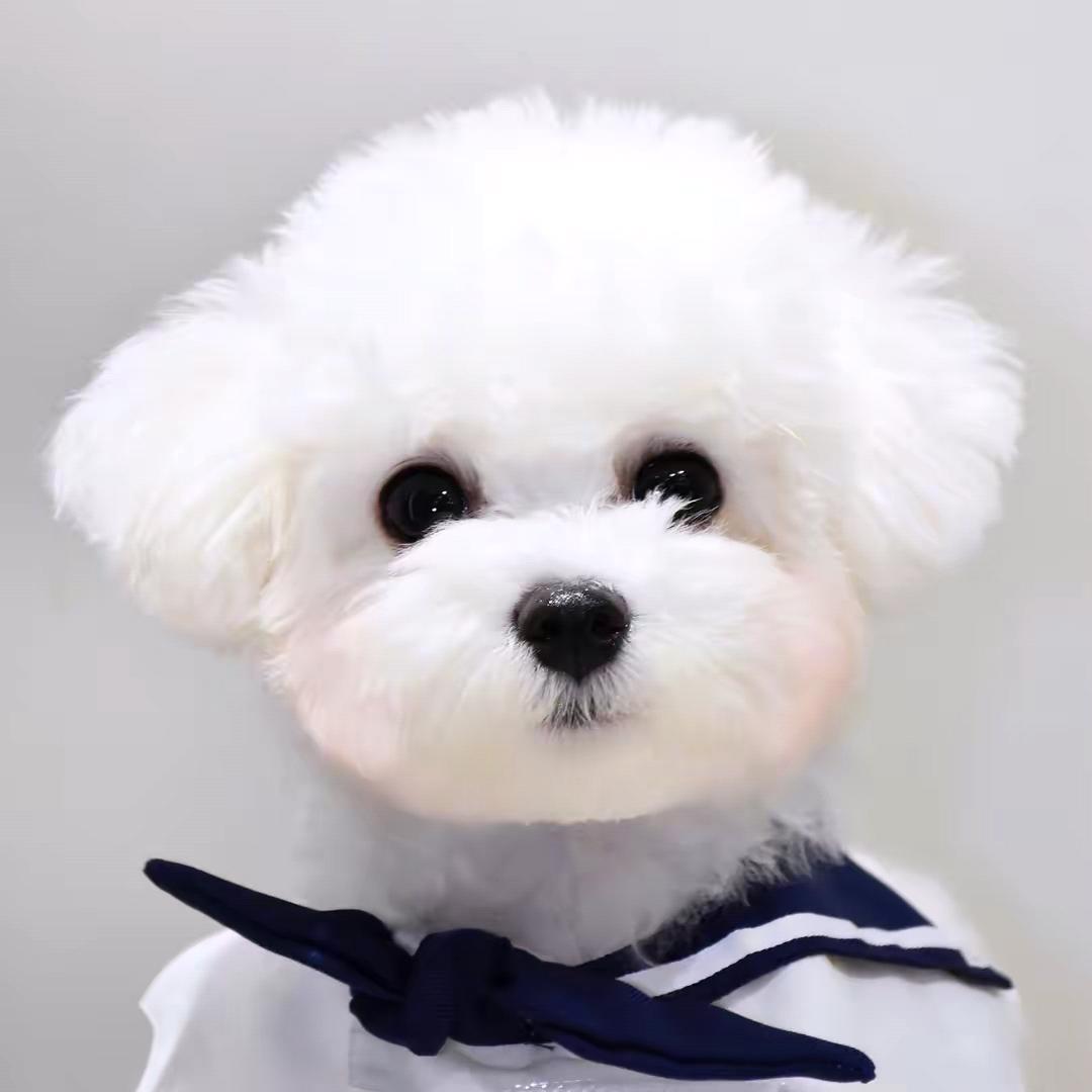 敬森铭小菲推广号