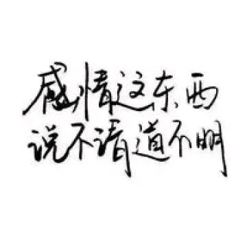 老虎情感语录