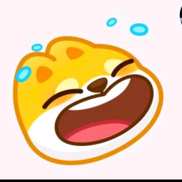 ⭐️小星星⭐️