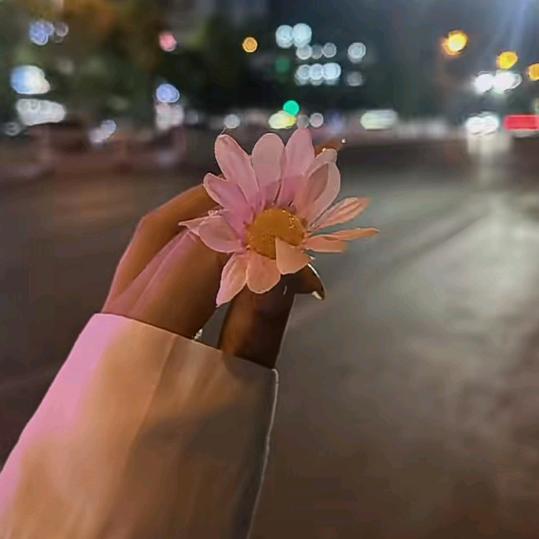 ✨鑫怡✨