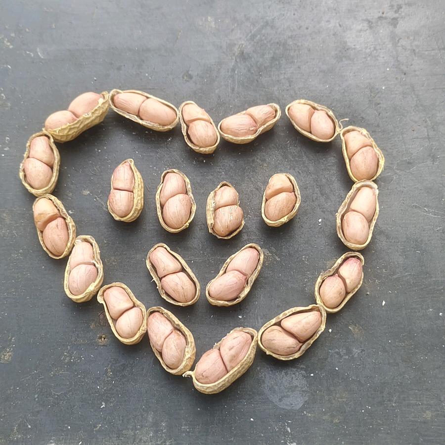 喜哥粮油专供花生米果