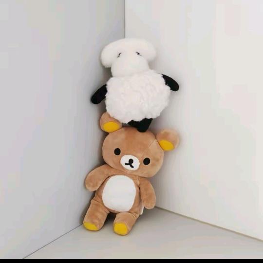 乐乐的直播小助理