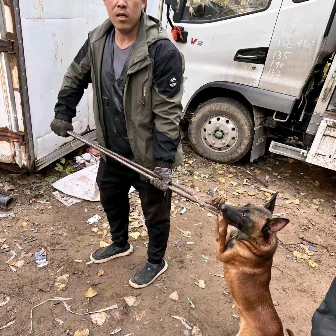 Aaa全国流动套狗王师傅