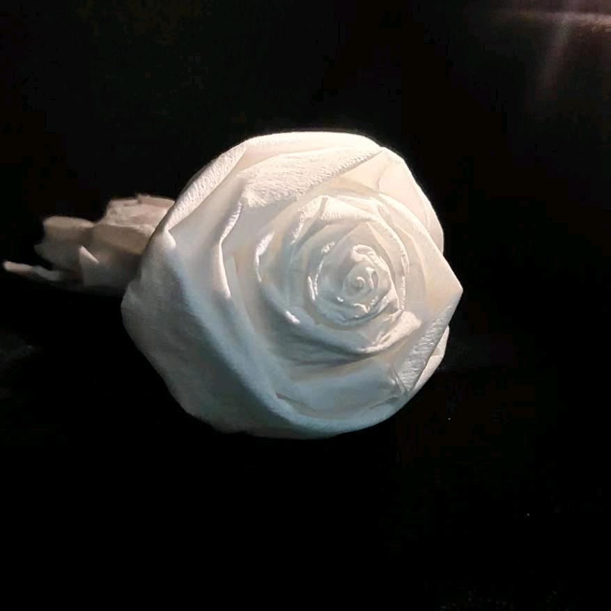 嘚L个嘚嘚