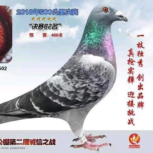 宇威鸽舍