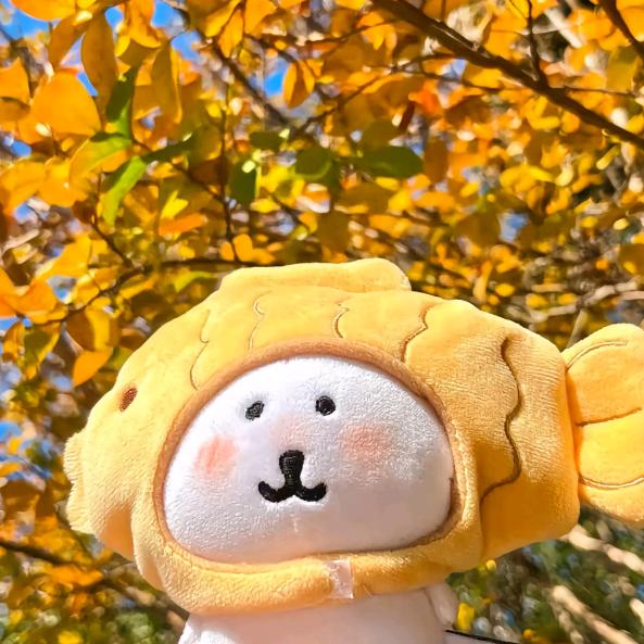 水煮鱼🐟