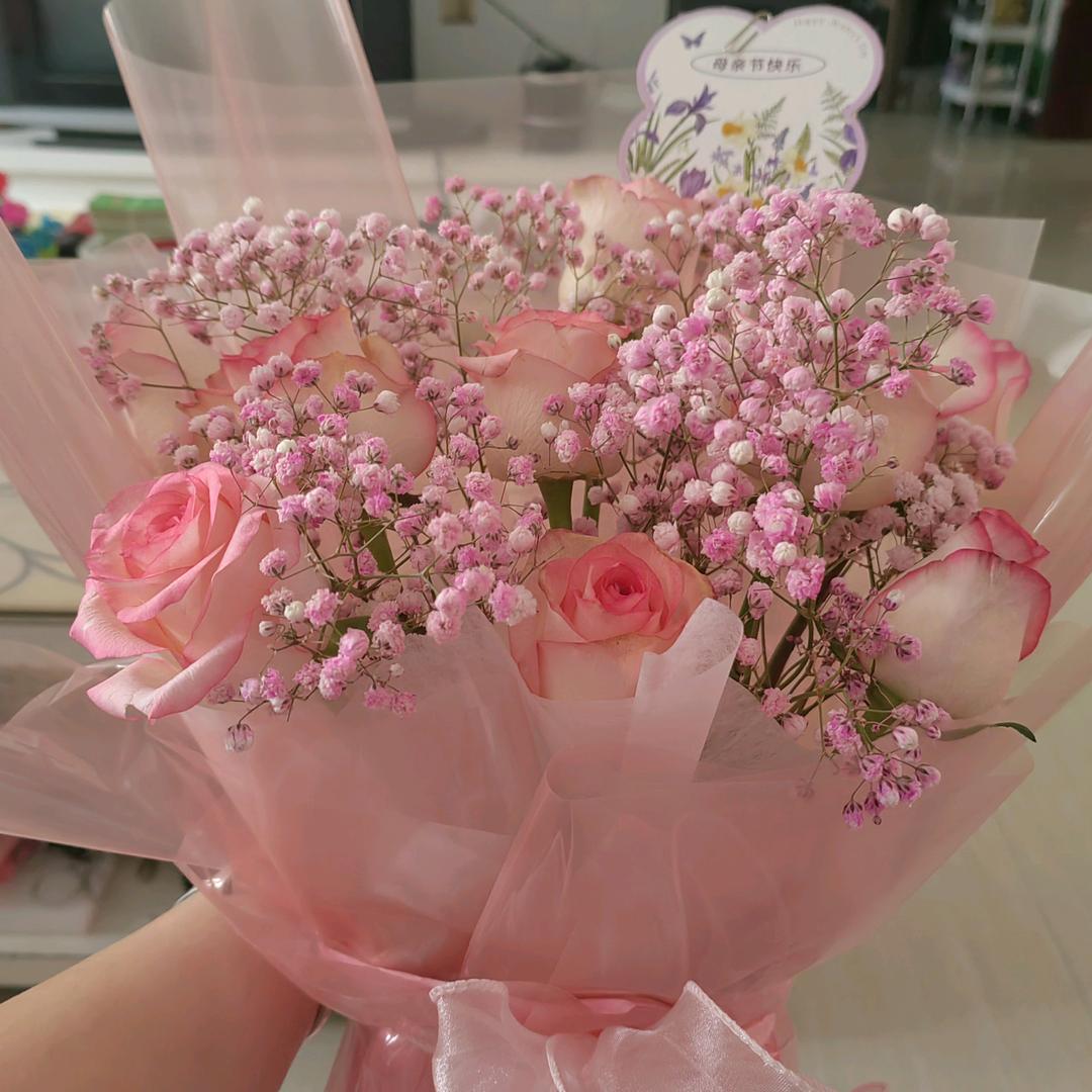 苹果圆圆