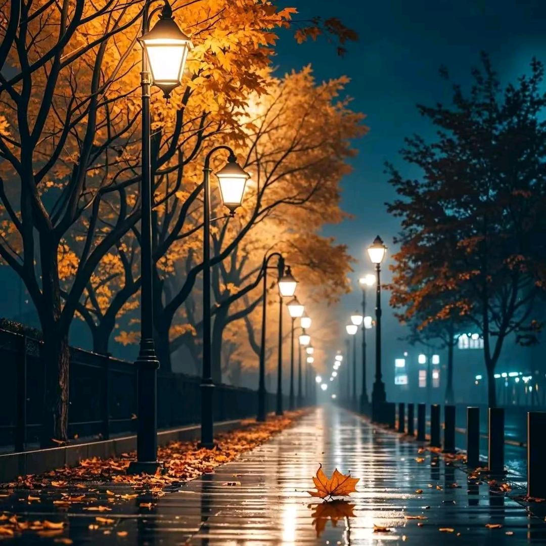 ⁺ 焦糖🩵‧₊˚ 🤍⋆ 甜饼✩