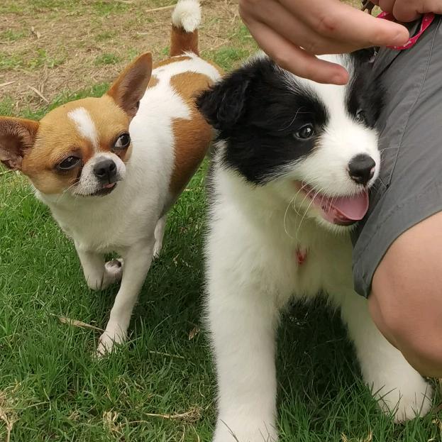 🌈萌萌吃鱼🌈