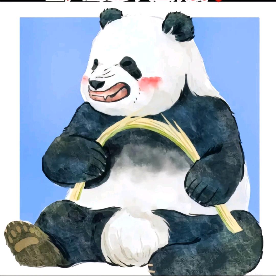 rayfxd