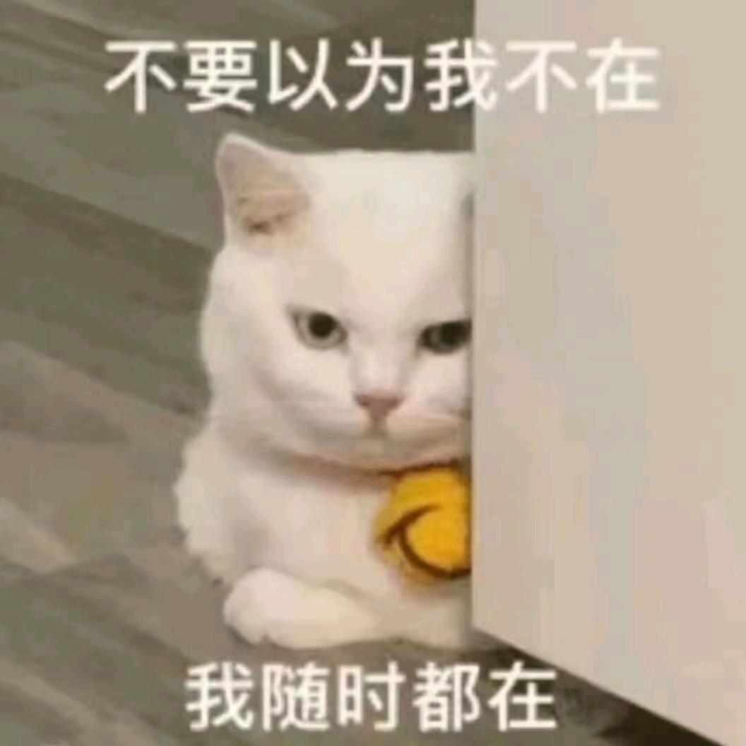 半路