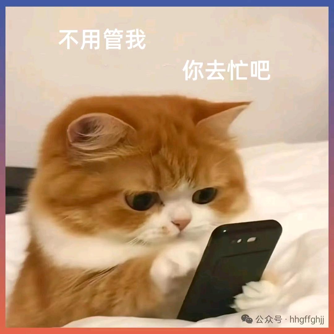 凝雨