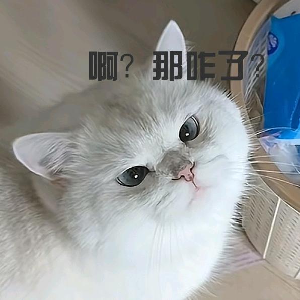 惊鸿一瞥是惊艳