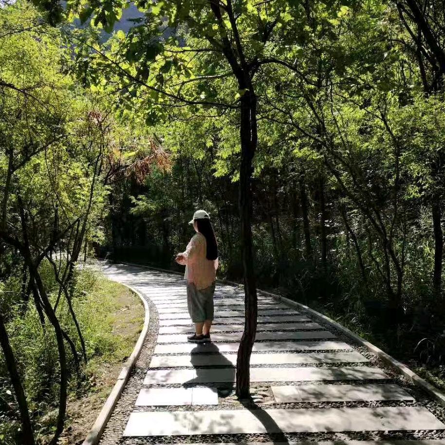 长安uni-z自驾行