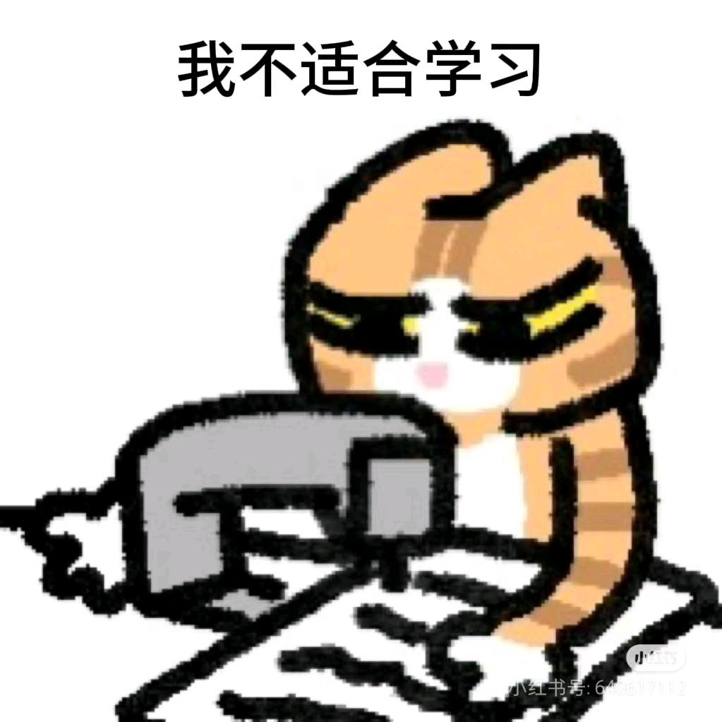 椰子南瓜