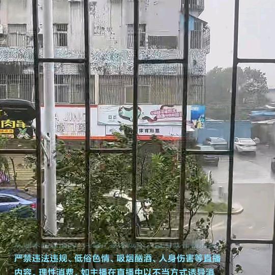 努力赚钱
