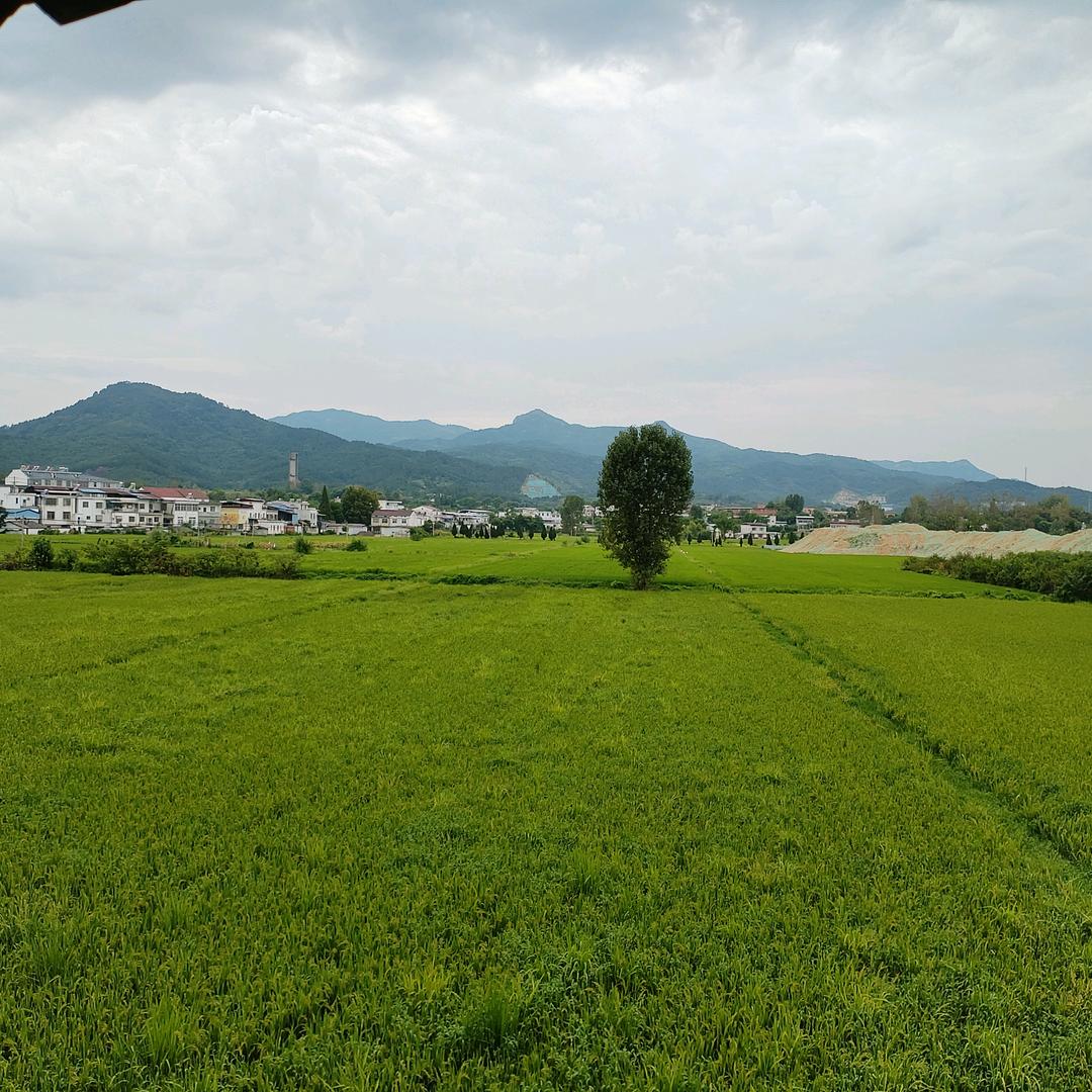 乐听