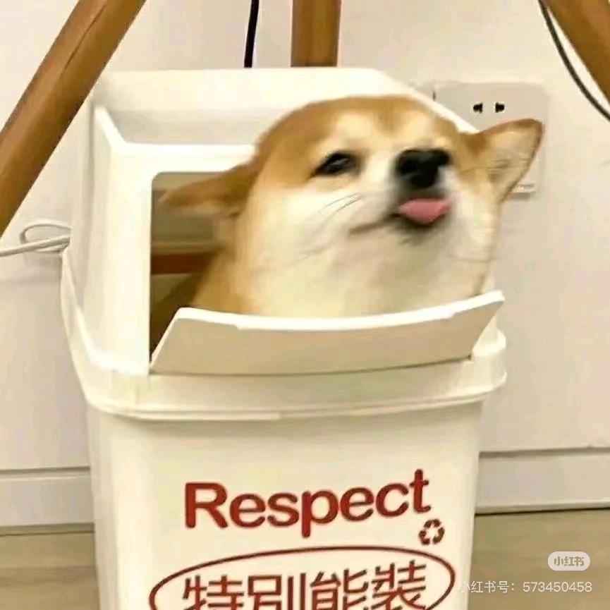 摆子