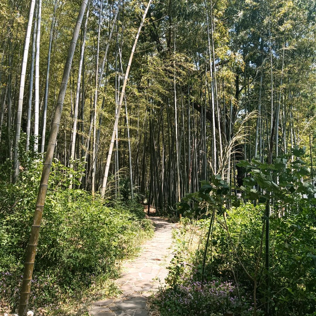 兵哥