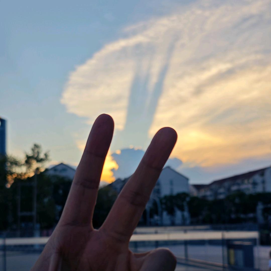 钱大头