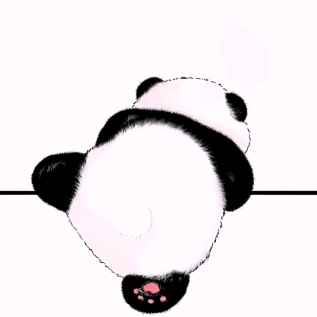 月亮🌙（378版）