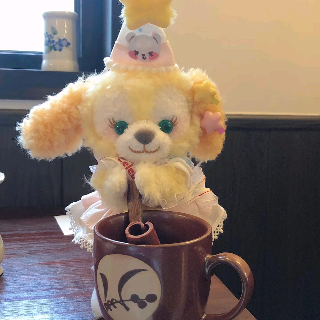 ʕ̯•͡˔•̯᷅ʔ ᐝ知世