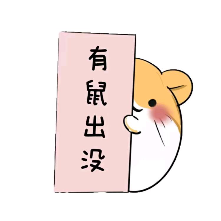 有鼠出没🐻