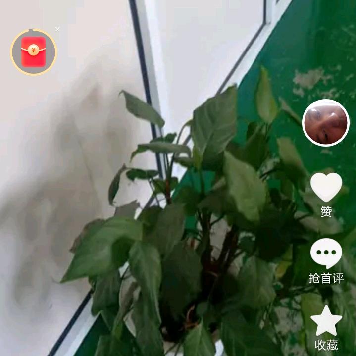 苏圣城的薛丁山头像