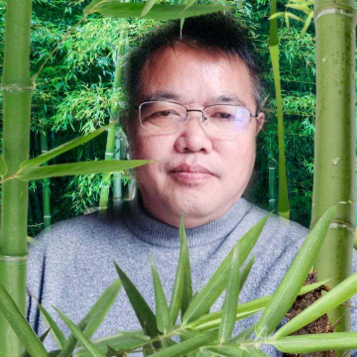 澳力