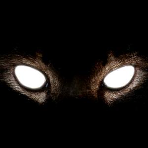 家常便饭 老潼关肉夹馍速冻饼零售批发