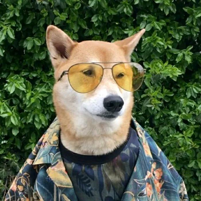 戒烟