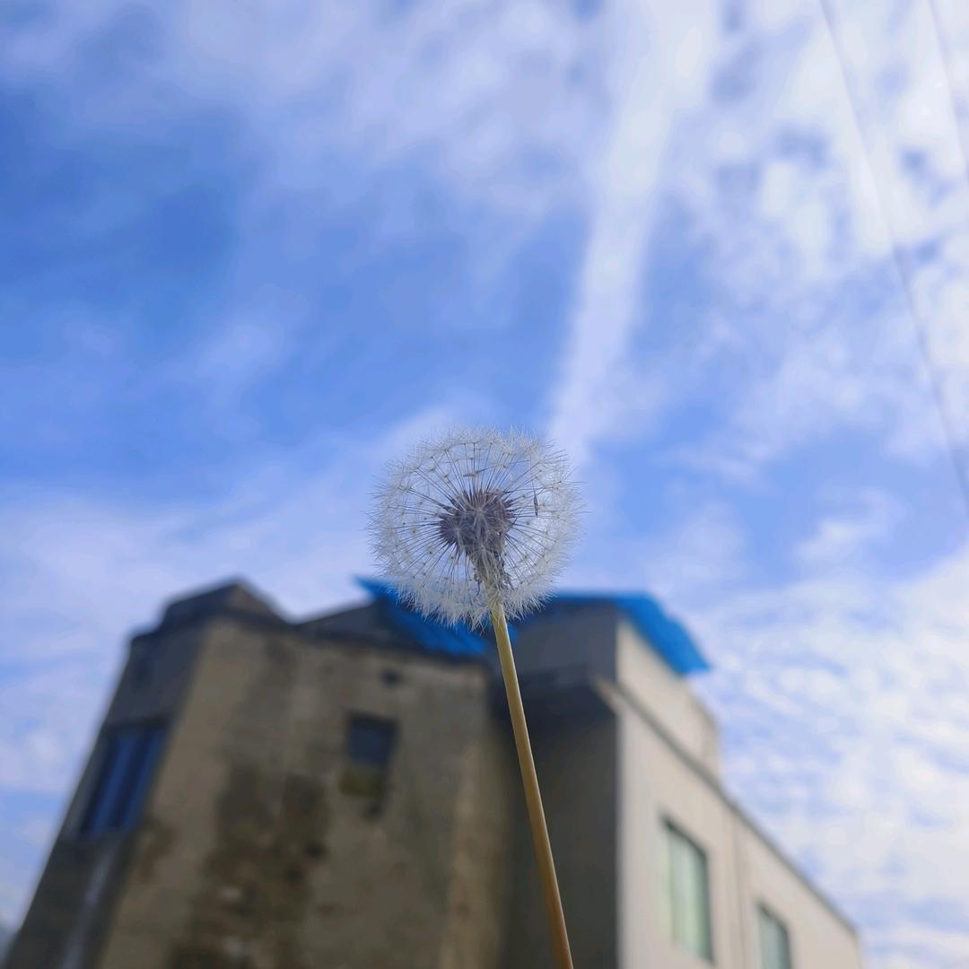 辩证