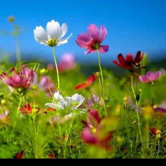 好运相伴🇨🇳