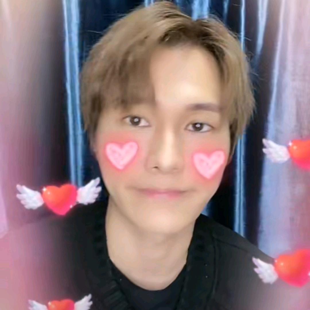 Hubert的忠实粉丝-翠翠鲨