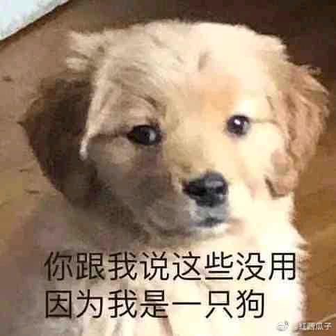 情舟已过
