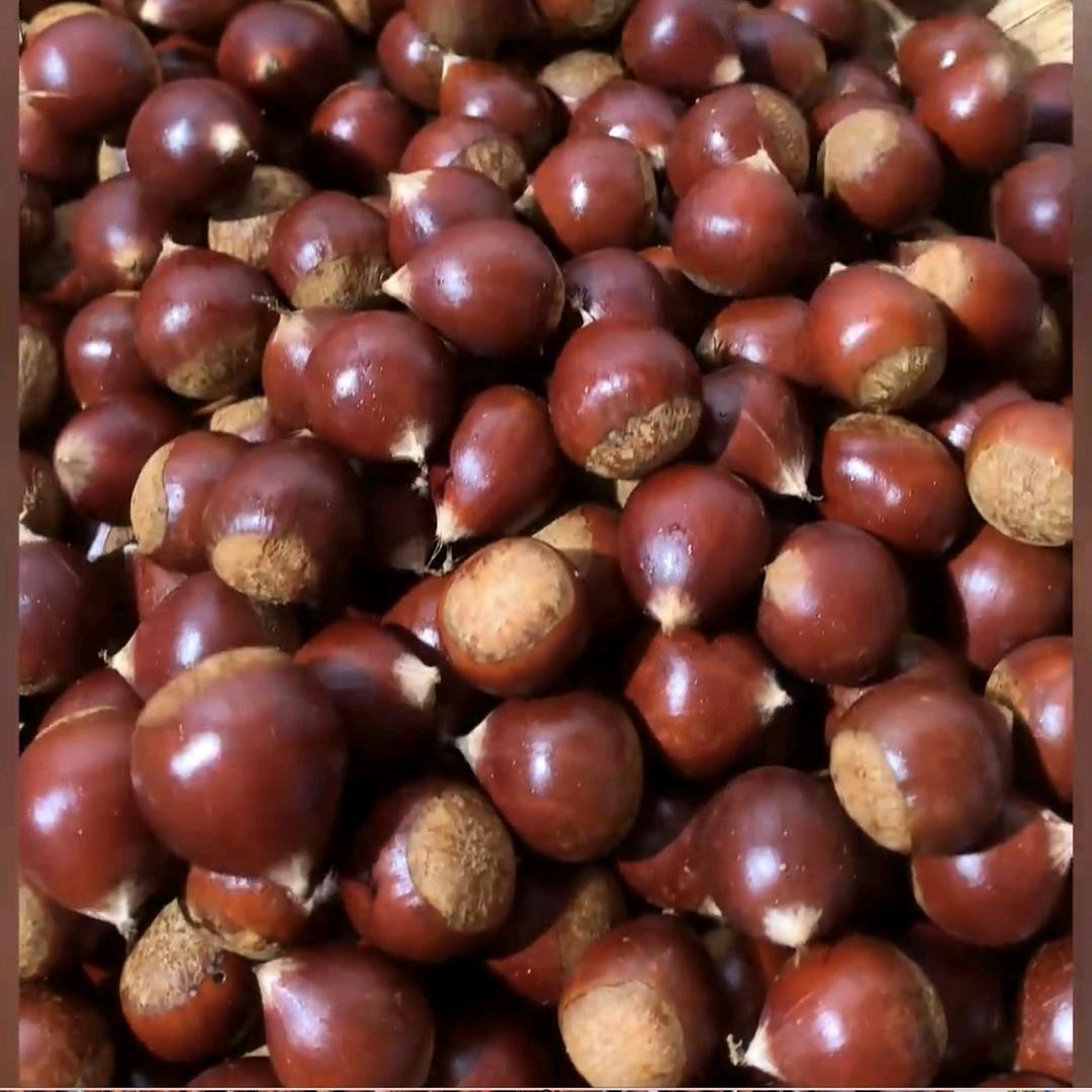 好优莱