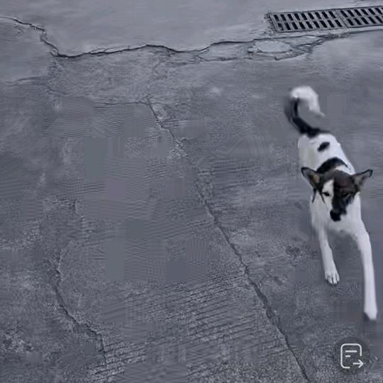 星辰