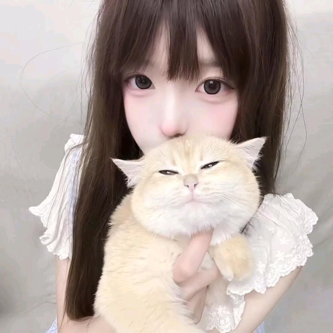 沅溪