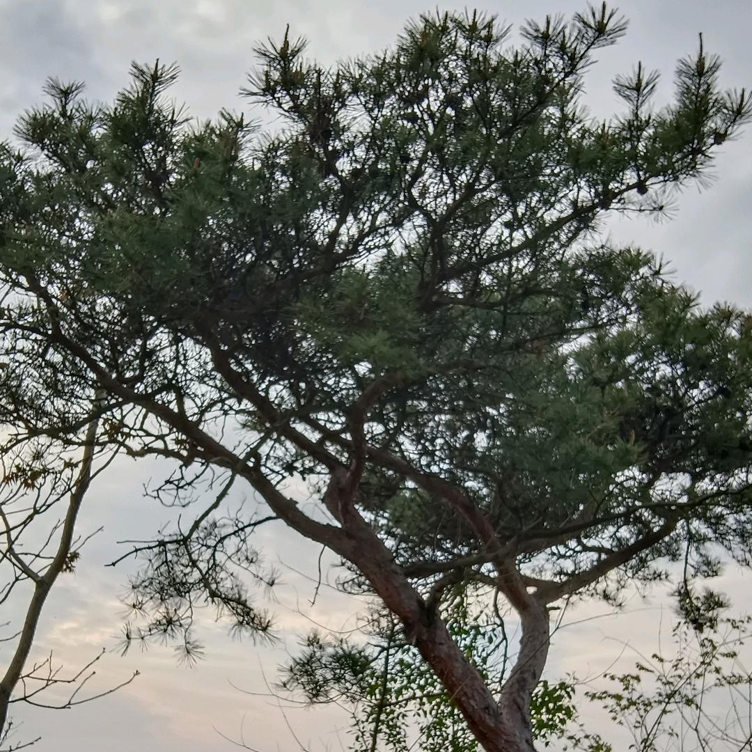 同城惠