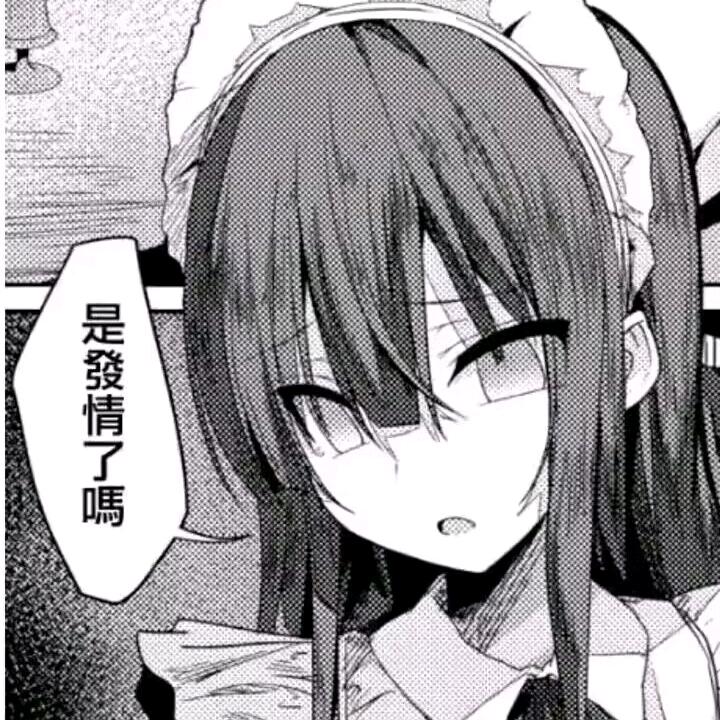哈基兔