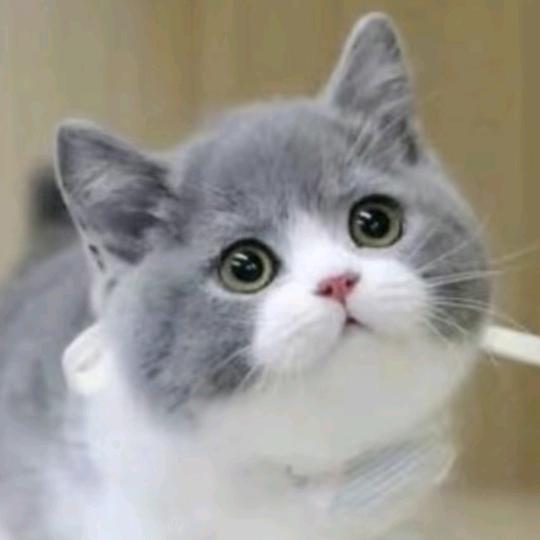 修身渡己