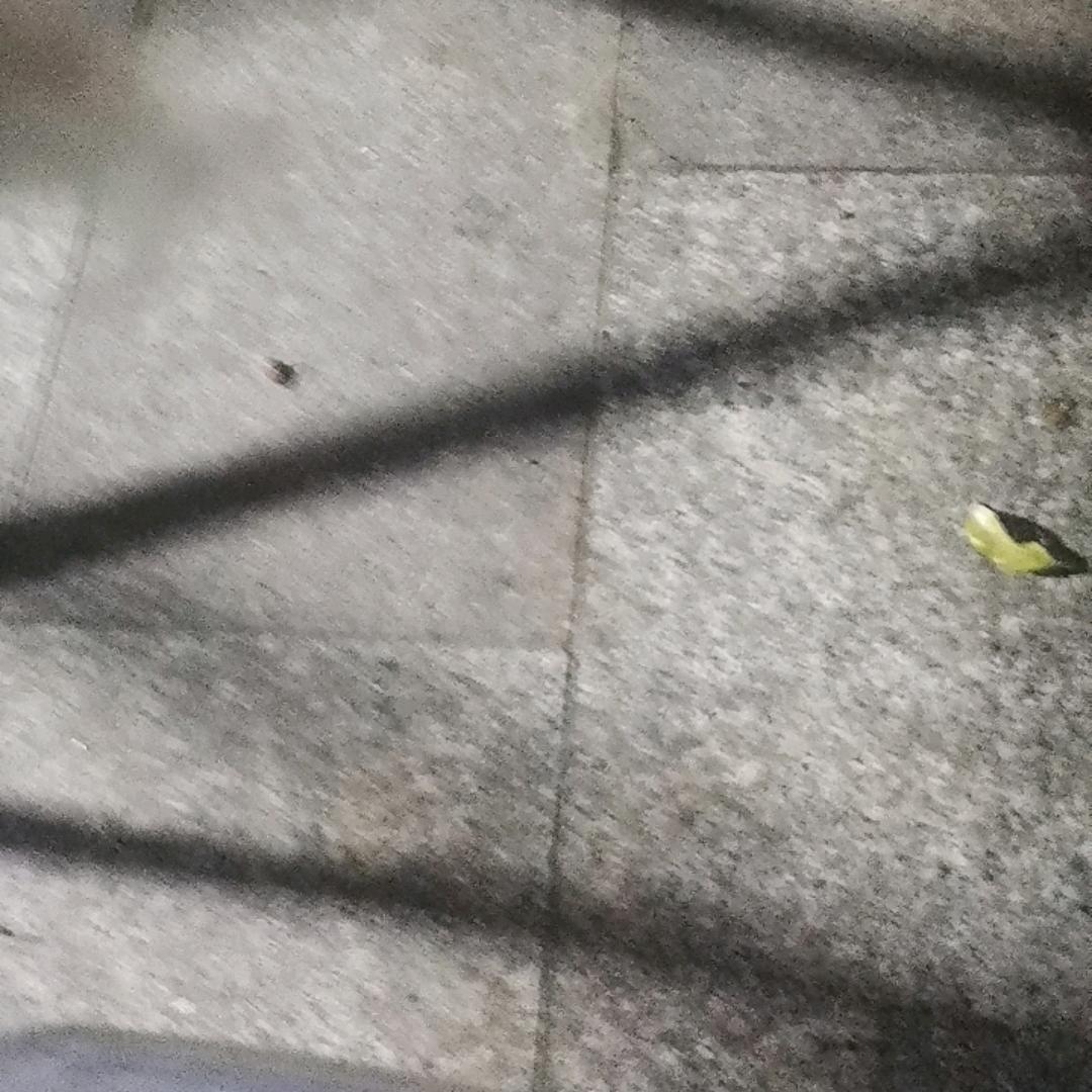 ∴＇凡∵：：∵：