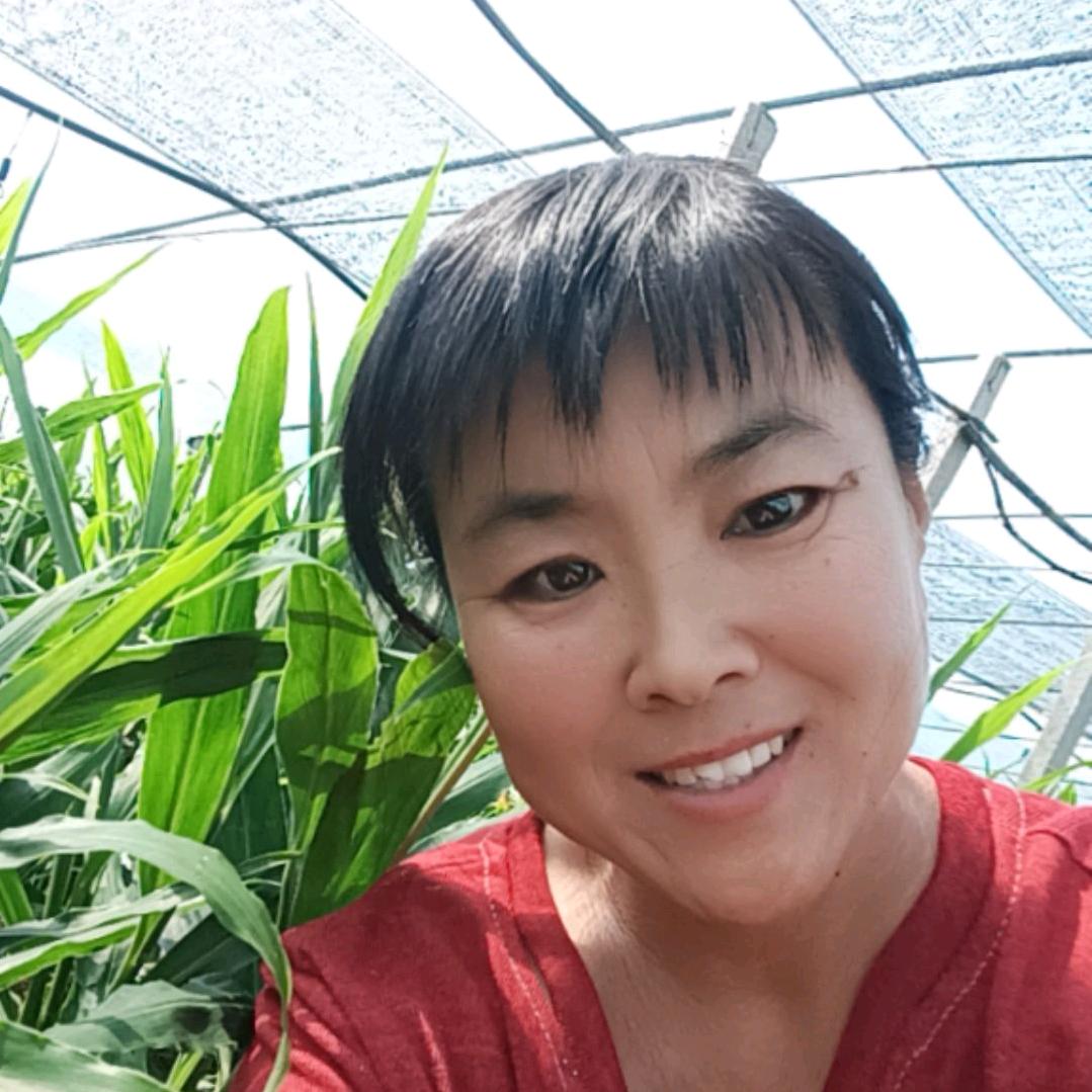 安丘阿梅新鲜果蔬严选店