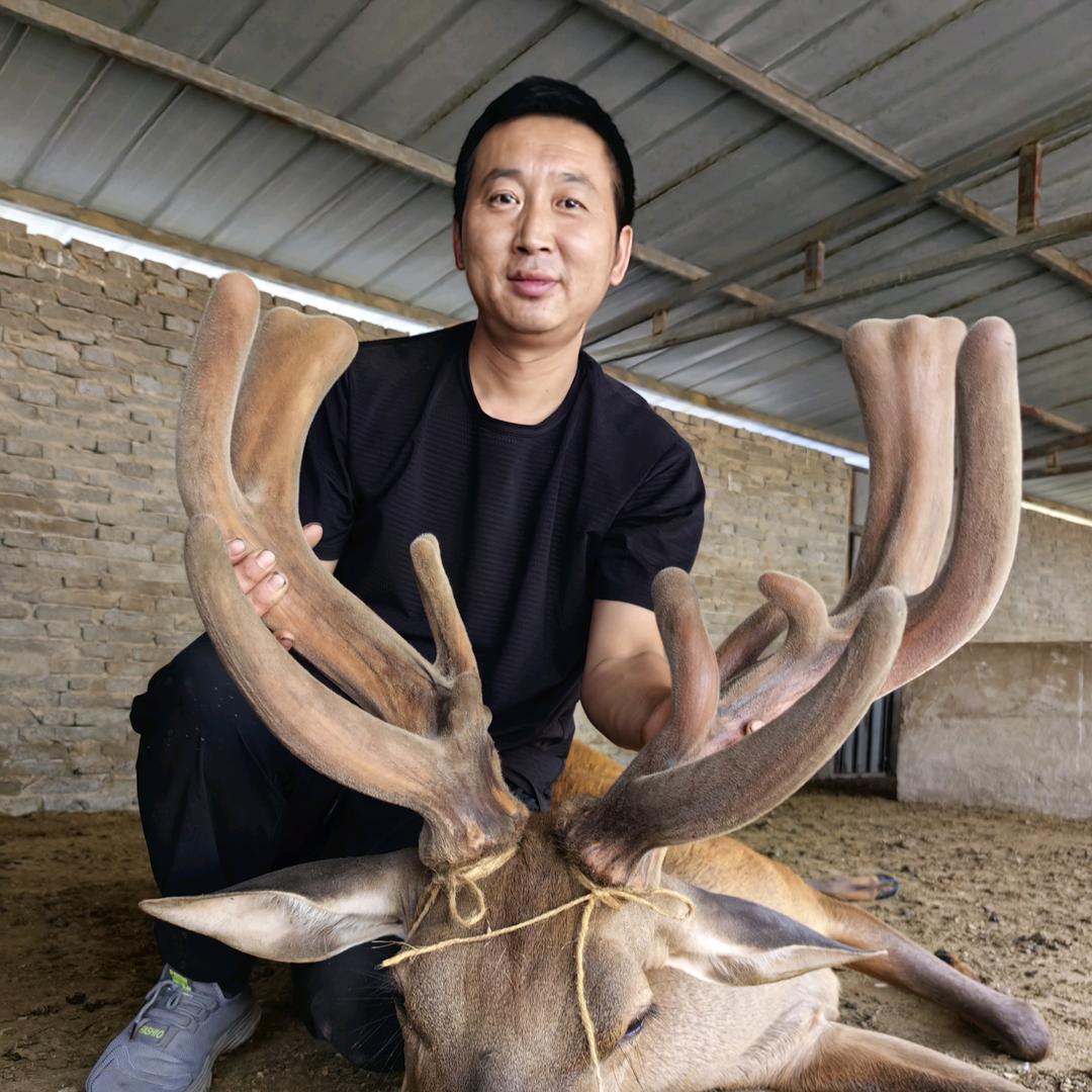 三伟鹿场小号