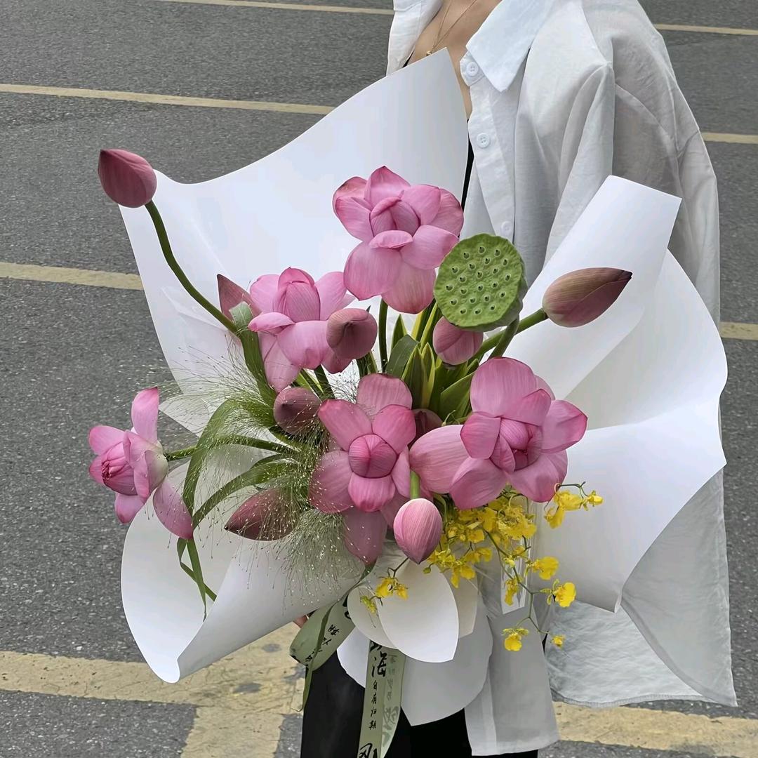 鹏鹏