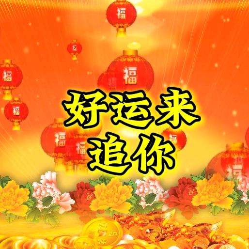 好运来追你