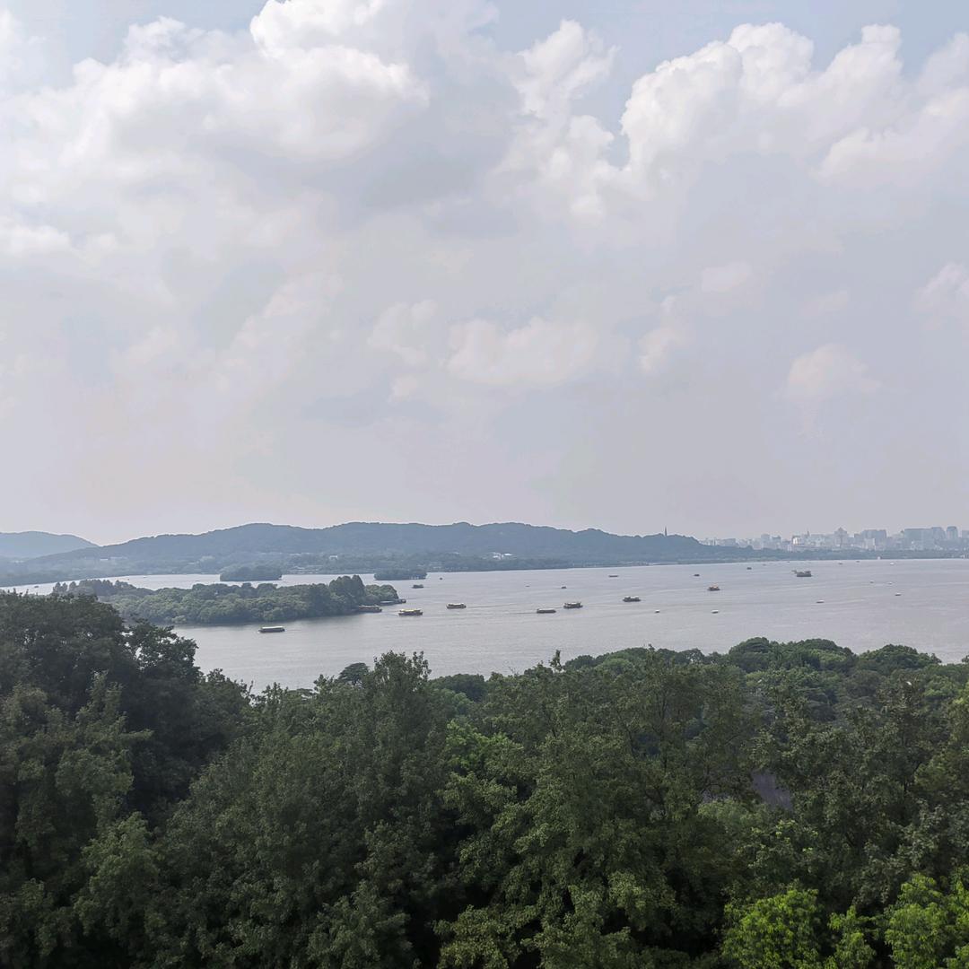 🍋柠檬🍋柚子茶🍋