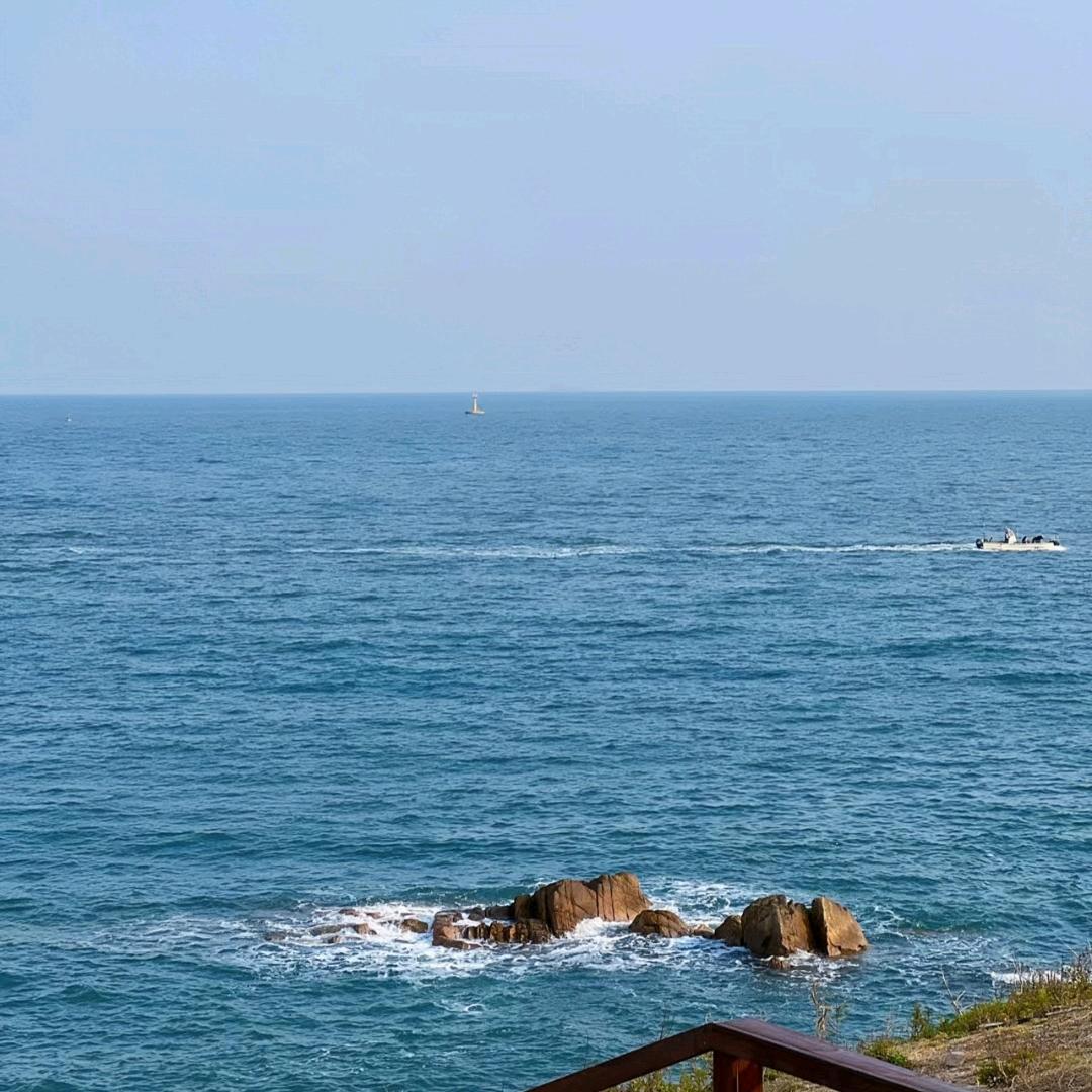 小葡萄🍇🍇🍇